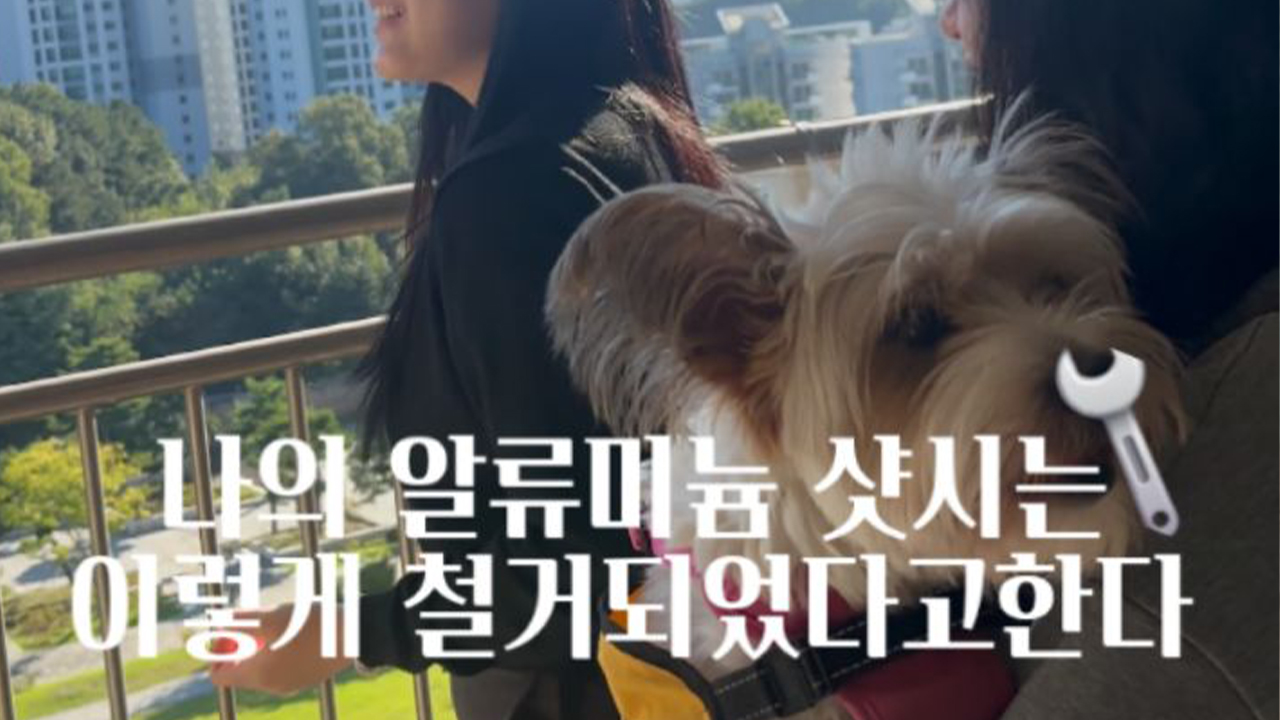 미디어 이미지 썸네일